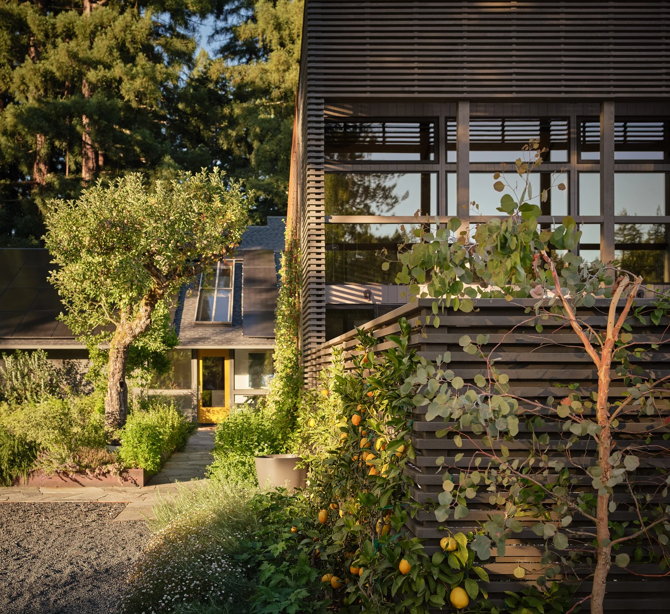Tree House Edge - Beauty in the Practical