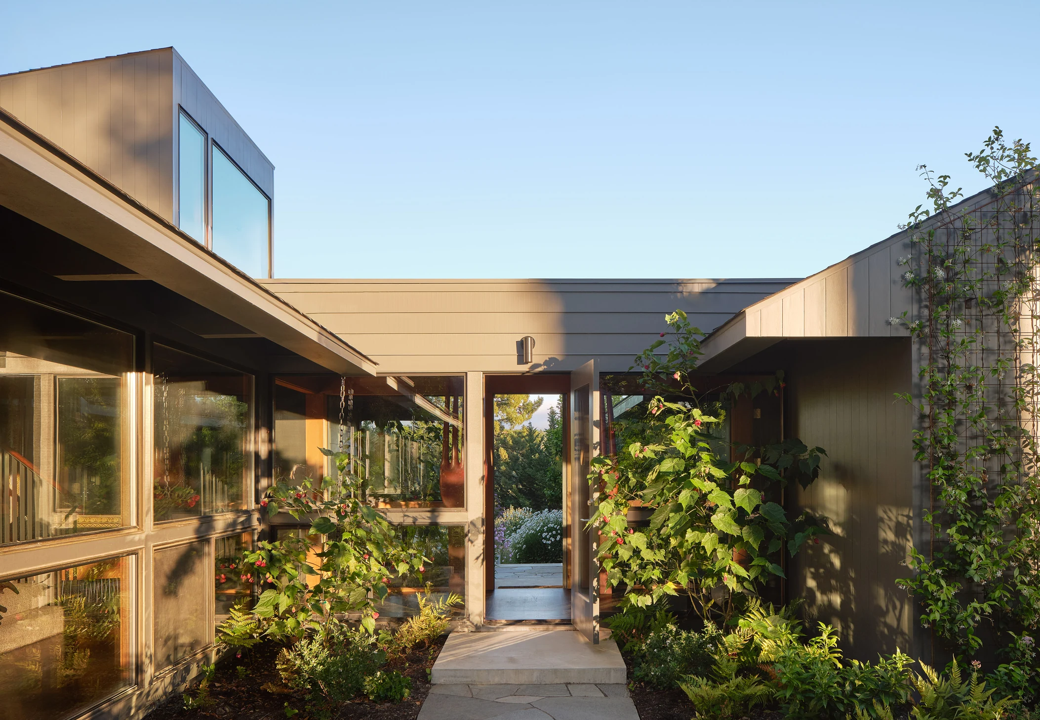 Tree House Edge - ROOM TO EXHALE.